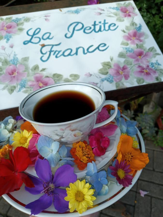 Hotel La Petite France Nova Petropolis Zewnętrze zdjęcie